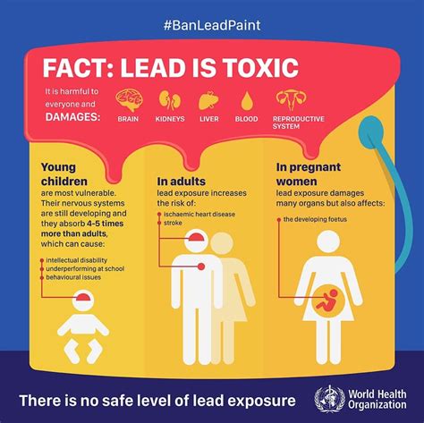 Is lead poisoning reversible?